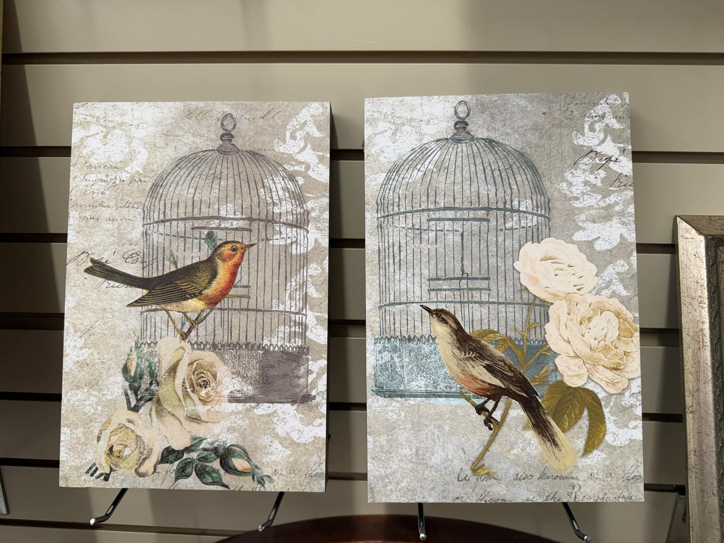 Pair Birds with Cages Pictures