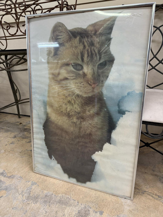 Big Cat Poster in a Frame